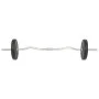 Juego de barras y pesas 30 kg de vidaXL, Peso libre - Ref: Foro24-91400, Precio: 92,13 €, Descuento: %