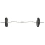 Satz Stangen und Gewichte 30 kg von vidaXL, freies Gewicht - Ref: Foro24-91400, Preis: 117,30 €, Rabatt: %