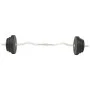 Juego de barras y pesas 30 kg de vidaXL, Peso libre - Ref: Foro24-91400, Precio: 92,13 €, Descuento: %