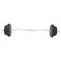 Satz Stangen und Gewichte 30 kg von vidaXL, freies Gewicht - Ref: Foro24-91400, Preis: 117,30 €, Rabatt: %