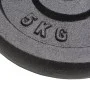 Cast iron weight plates 4 units 4x5 kg by vidaXL, free weight - Ref: Foro24-91392, Price: 90,11 €, Discount: %