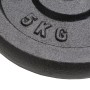 Gusseisen-Hantelscheiben 4 Stück 2x10 kg+2x5 kg von vidaXL, freies Gewicht - Ref: Foro24-91395, Preis: 135,80 €, Rabatt: %
