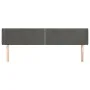 Kopfteil aus dunkelgrauem Samt, 163 x 16 x 78/88 cm von , Kopf- und Fußteile - Ref: Foro24-3118683, Preis: 66,93 €, Rabatt: %