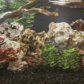 Drachensteine bunt mischen 10 kg 10-30 cm von , Aquariumdekoration - Ref: Foro24-3217170, Preis: 44,81 €, Rabatt: %