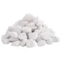 Guijarros pulidos blancos 25 kg 2-5 cm de , Decoración de acuarios - Ref: Foro24-3217193, Precio: 61,29 €, Descuento: %