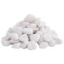 Weiß polierte Kieselsteine 25 kg 2-5 cm von , Aquariumdekoration - Ref: Foro24-3217193, Preis: 62,80 €, Rabatt: %