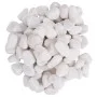 Guijarros pulidos blancos 25 kg 2-5 cm de , Decoración de acuarios - Ref: Foro24-3217193, Precio: 61,29 €, Descuento: %