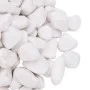 Guijarros pulidos blancos 25 kg 2-5 cm de , Decoración de acuarios - Ref: Foro24-3217193, Precio: 61,29 €, Descuento: %