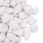 Weiß polierte Kieselsteine 25 kg 2-5 cm von , Aquariumdekoration - Ref: Foro24-3217193, Preis: 62,80 €, Rabatt: %