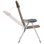 Klappbare Campingstühle 2 Einheiten aus braunem Aluminium von vidaXL, Campingmöbel - Ref: Foro24-44310, Preis: 134,49 €, Raba...