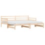 Sofá cama nido madera maciza de pino 90x200 cm de , Camas y somieres - Ref: Foro24-836147, Precio: 157,45 €, Descuento: %