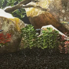 Black aquarium sand 25 kg 0.2-2 mm by , Substrates and sand for aquariums - Ref: Foro24-3217157, Price: 51,13 €, Discount: %