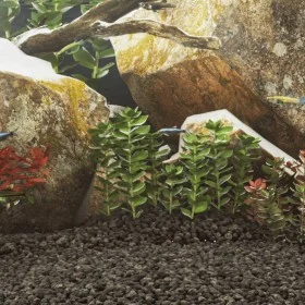 Black basalt gravel 10 kg 3-5 mm by , Substrates and sand for aquariums - Ref: Foro24-3217160, Price: 31,17 €, Discount: %