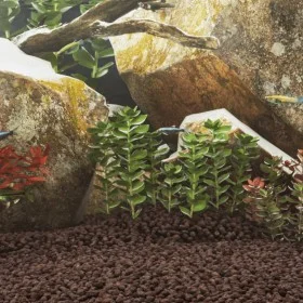 Red volcanic rocks 10 kg 1-2 cm by , Aquarium decoration - Ref: Foro24-3217174, Price: 42,79 €, Discount: %