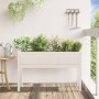 Planter with solid white pine wood legs 110x31x70 cm by , Pots and planters - Ref: Foro24-837566, Price: 77,08 €, Discount: %