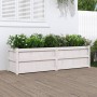 Pflanzgefäß aus massivem Weißkiefernholz, 180 x 50 x 50 cm von , Töpfe und Pflanzgefäße - Ref: Foro24-837505, Preis: 191,70 €...