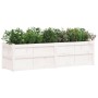 Jardinera de madera maciza de pino blanca 180x50x50 cm de , Maceteros y jardineras - Ref: Foro24-837505, Precio: 191,62 €