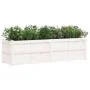 Jardinera de madera maciza de pino blanca 180x50x50 cm de , Maceteros y jardineras - Ref: Foro24-837505, Precio: 184,16 €, De...