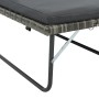 2-teiliges Gartenmöbel-Set und graue synthetische Rattankissen von vidaXL, Outdoor-Sofas - Ref: Foro24-44483, Preis: 353,89 €...