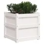 Außenblumenkästen, 2 Stück Massivholz aus weißer Kiefer von , Töpfe und Pflanzgefäße - Ref: Foro24-837417, Preis: 99,52 €, Ra...