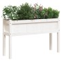 Außenblumenkästen mit Beinen, 2 Stück Massivholz Kiefer Weiß von , Töpfe und Pflanzgefäße - Ref: Foro24-837567, Preis: 115,80...