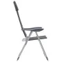 Aluminium-Campingstühle 2 Einheiten grau 58x69x111 cm von vidaXL, Campingmöbel - Ref: Foro24-44312, Preis: 156,53 €, Rabatt: %