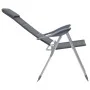 Aluminium-Campingstühle 2 Einheiten grau 58x69x111 cm von vidaXL, Campingmöbel - Ref: Foro24-44312, Preis: 156,53 €, Rabatt: %