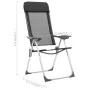 Camping-Klappstühle aus Aluminium, 2 Einheiten, schwarz von vidaXL, Campingmöbel - Ref: Foro24-44305, Preis: 132,80 €, Rabatt: %