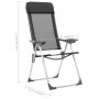 Camping-Klappstühle aus Aluminium, 2 Einheiten, schwarz von vidaXL, Campingmöbel - Ref: Foro24-44305, Preis: 135,19 €, Rabatt: %