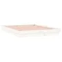 Estructura de cama con LEDs madera maciza blanca 150x200 cm de , Camas y somieres - Ref: Foro24-819978, Precio: 175,44 €, Des...