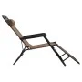 Folding sun loungers with footrest 2 units brown steel by vidaXL, Loungers - Ref: Foro24-44346, Price: 105,25 €, Discount: %