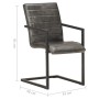 Freischwinger-Esszimmerstühle 2 Einheiten Echtleder grau von , Essstühle - Ref: Foro24-321842, Preis: 298,20 €, Rabatt: %