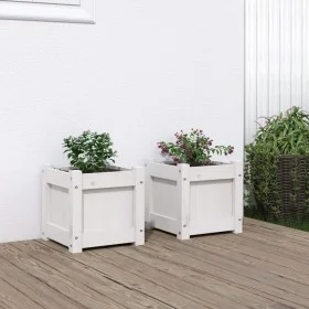 Outdoor planters 2 units solid white pine wood by , Pots and planters - Ref: Foro24-837397, Price: 51,13 €, Discount: %