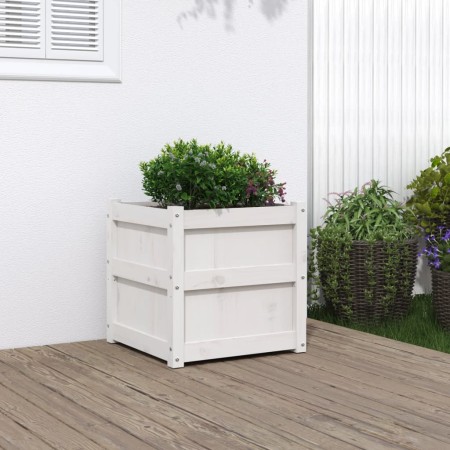 Pflanzgefäß aus massivem Weißkiefernholz, 50 x 50 x 50 cm von , Töpfe und Pflanzgefäße - Ref: Foro24-837416, Preis: 62,05 €, ...