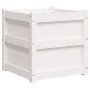 Pflanzgefäß aus massivem Weißkiefernholz, 50 x 50 x 50 cm von , Töpfe und Pflanzgefäße - Ref: Foro24-837416, Preis: 62,05 €, ...