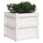Pflanzgefäß aus massivem Weißkiefernholz, 50 x 50 x 50 cm von , Töpfe und Pflanzgefäße - Ref: Foro24-837416, Preis: 62,05 €, ...