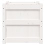 Pflanzgefäß aus massivem Weißkiefernholz, 50 x 50 x 50 cm von , Töpfe und Pflanzgefäße - Ref: Foro24-837416, Preis: 62,05 €, ...