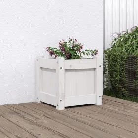 Pflanzgefäß aus massivem Weißkiefernholz, 31 x 31 x 31 cm von , Töpfe und Pflanzgefäße - Ref: Foro24-837396, Preis: 31,47 €, ...