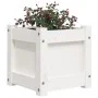 Pflanzgefäß aus massivem Weißkiefernholz, 31 x 31 x 31 cm von , Töpfe und Pflanzgefäße - Ref: Foro24-837396, Preis: 28,31 €, ...