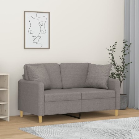 Sofá de 2 plazas con cojines tela gris claro 120 cm de , Sofás - Ref: Foro24-3200901, Precio: 231,50 €, Descuento: %