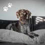 Madison Cojín para perros Velvet gris 100x70x15 cm de , Camas para perros - Ref: Foro24-444465, Precio: 104,19 €, Descuento: %