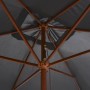 Garden umbrella with wooden pole 200x300 cm anthracite by vidaXL, Umbrellas - Ref: Foro24-44513, Price: 68,46 €, Discount: %