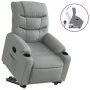 Hellgrauer, anhebbarer Liegesessel aus Stoff von , Sessel - Ref: Foro24-3206645, Preis: 289,01 €, Rabatt: %
