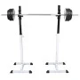 Weight rack with dumbbells and dumbbells 60.5 kg by vidaXL, Weight lifting machines - Ref: Foro24-275349, Price: 252,01 €, Di...