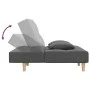 2-Sitzer-Schlafsofa mit zwei Kissen aus hellgrauem Stoff von , Sofas - Ref: Foro24-375792, Preis: 251,17 €, Rabatt: %