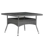 Set comedor jardín 5 pzas ratán sintético vidrio templado gris de , Conjuntos de jardín - Ref: Foro24-3058355, Precio: 539,21...