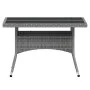 Set comedor jardín 5 pzas ratán sintético vidrio templado gris de , Conjuntos de jardín - Ref: Foro24-3058355, Precio: 539,21...