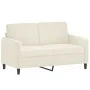 Zweiteiliges Sofaset mit cremefarbenen Samtkissen. von , Sofas - Ref: Foro24-3202042, Preis: 576,61 €, Rabatt: %