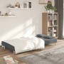 Zweiplätziges Schlafsofa mit zwei dunkelgrauen Kissen. von , Sofas - Ref: Foro24-375793, Preis: 254,69 €, Rabatt: %