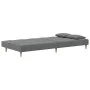 Zweiplätziges Schlafsofa mit zwei dunkelgrauen Kissen. von , Sofas - Ref: Foro24-375793, Preis: 250,31 €, Rabatt: %